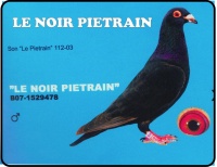 Albumok