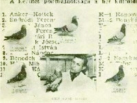 Albumok